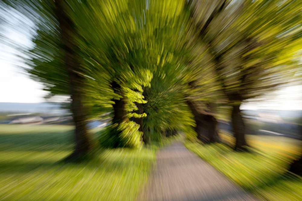 5. Platz Rudi Schmid